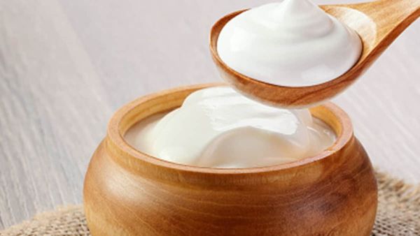 இரவில் தயிர் சாப்பிடுவது உடலுக்கு நல்லதா? கெட்டதா? யார் கட்டாயம் தொடக்கூடாது.. எக்ஸ்பர்ட்ஸ் விளக்கம்