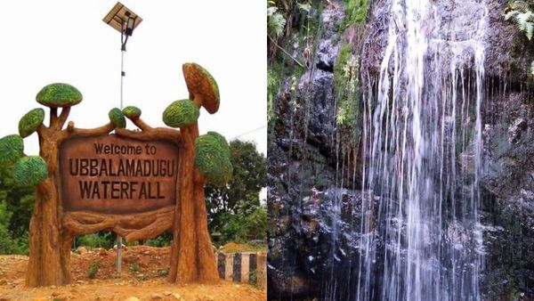 காட்டு அருவி குளியல், டிரெக்கிங்.. சென்னையிலிருந்து ஜஸ்ட் 3 மணி நேரம்! உப்பலமடுகு செல்வது எப்படி?