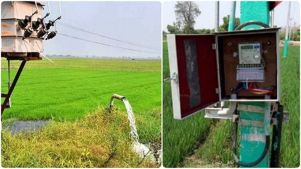 இந்த ஆண்டு தட்கல் திட்டத்தின் கீழ் விவசாய மின் இணைப்பு பெறுவது எப்படி? தமிழக அரசு முக்கிய அறிவிப்பு