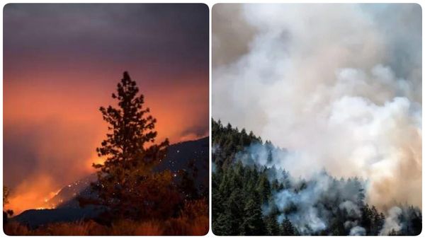 ஐரோப்பிய நாடுகளை திடீரென சூழும் 