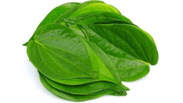 வெற்றிலை = வெற்றி + இலை.. நாலஞ்சு இலை உங்ககிட்ட இருந்தாலே போதும்.. கேட்கும்போதே சிலிர்க்குதே.. ஹெல்த்