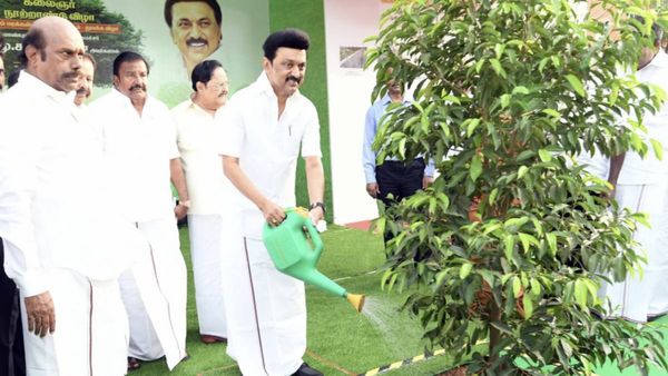 கருணாநிதி நூற்றாண்டு விழா! 5 லட்சம் மரக்கன்றுகள் நடும் திட்டத்தை தொடங்கி வைத்த ஸ்டாலின்!