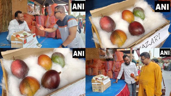 உலகின் காஸ்ட்லி மாம்பழம் மியாசாகி.. கிலோ எவ்வளவு தெரியுமா.. தங்கத்தை மறந்துடுங்க! ஒரு மரம் வைங்க