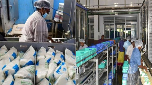 அம்பத்தூர் ஆவின் பால் பண்ணையில் குழந்தை தொழிலாளர்கள்? சம்பளம் கூட தரவில்லை என புகார்! ஷாக்