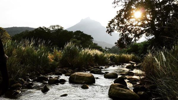 ஆஹா.. என்ன அழகு! திருச்சி பக்கம் இப்படி ஒரு இடமா.. சொர்க்கம்யா! புளியஞ்சோலைக்கு உடனே வண்டிய விடுங்க