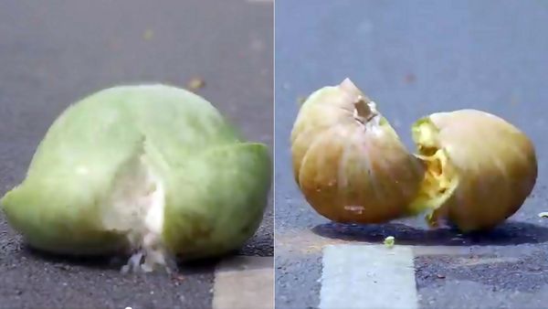 சென்னை போலீஸ் வெளியிட்டது 'படம் அல்ல பாடம்'.. அதுக்கு போட்ட கேப்சன் தான் வேறலெவல்