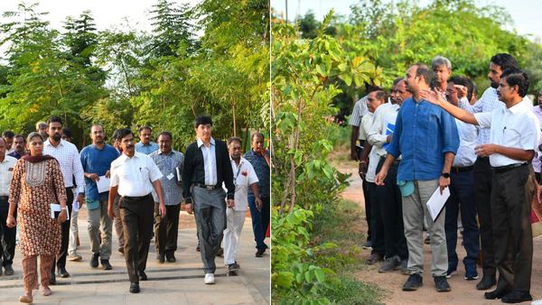 அடி தூள்.. பச்சை பசேலென மாறப்போகும் சென்னை! 1 லட்சம் மரங்களா? சிட்டிக்குள் காட்டையே உருவாக்கும் அரசு