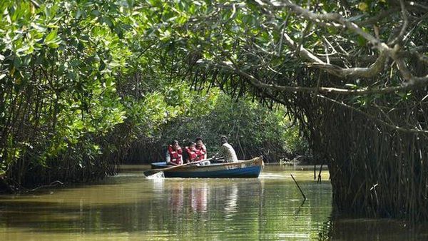 ஆலப்புழாவை விடுங்க.. நம்ம கடலூர் கிட்ட சுவர்க்கமே இருக்குதுங்க! உலகிலேயே 2வது பெரிய.. டூர் போலாமா