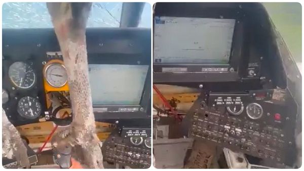 நடுவானில் திடீரென உடைந்த கண்ணாடிகள்.. விமானத்திற்குள் புகுந்த ராட்சத பறவை.. திக் திக் நிமிடங்கள்