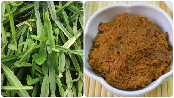 Pirandai Thuvaiyal: வயிற்று பூச்சியை கட்டுப்படுத்தும் மூலிகை.. பிரண்டை துவையல் செய்வது எப்படி?