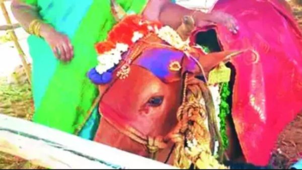 அரண்ட அந்தியூர்.. ஈர்த்த ஈரோடு.. 