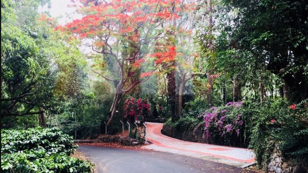 எது சேலத்துல சுவிட்சர்லாந்தா.. எங்கங்க? பார்வைக்கு பக்கா “ட்ரீட்” வைக்கும் பாதை - ரைடுக்கு ரெடியா 