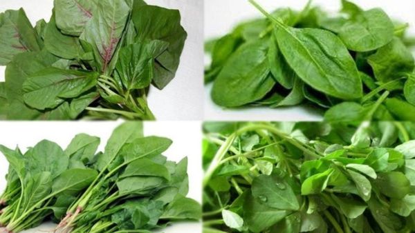 கீரைகள் உடலுக்கு நல்லவைதான்.. ஆனால் இரவு நேரத்தில் சாப்பிடலாமா? நிபுணர்கள் சொல்வது என்ன?