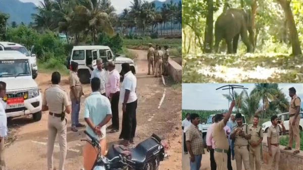 8 நாட்களாக போக்கு காட்டிய அரி கொம்பன்.. யானை வனத்துறையிடம் பிடிபட்டது எப்படி? 144 தடை உத்தரவு