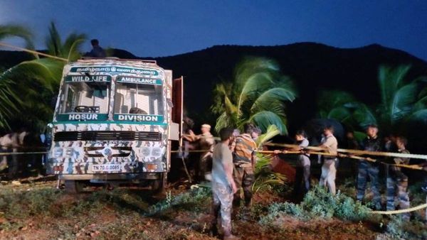 கம்பம் மக்களை கதி கலங்க வைத்த அரி கொம்பன்.. முண்டந்துறை வனப்பகுதியில் விடப்பட்டது