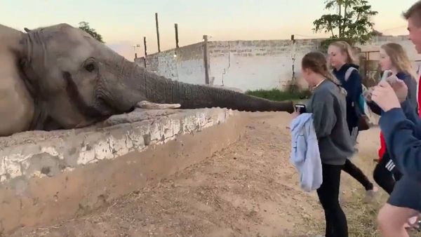 இந்தாம்மா.. பேசிக்கிட்டு இருக்கும் போதே என்ன பன்ற.. யானைக்கு வந்ததே கோபம்.. வீடியோவை பாருங்க