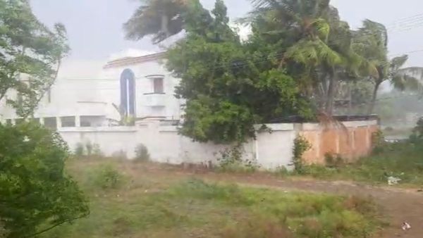 சூறாவளி புயலா?..பேயாட்டம் ஆடிய மரங்கள்.. கொட்டித்தீர்த்த கனமழை..மதுரையில் சட்டென்று மாறிய வானிலை