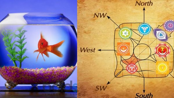 வாஸ்து டிப்ஸ்...தாறுமாறாக செல்வம் வர..இந்த திசையில் மீன்களை வளர்க்கலாம்..குடும்ப ஒற்றுமை கூடும்