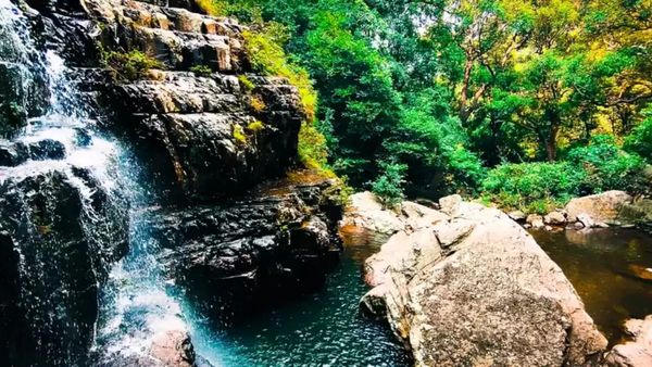 விஜய்யின் லியோ சூட்டிங் ஸ்பாட்.. திருப்பதி அருகே வாவ்! புஷ்பா சூட்டிங்கும் இங்கதானா? தலகோனா போலாமே