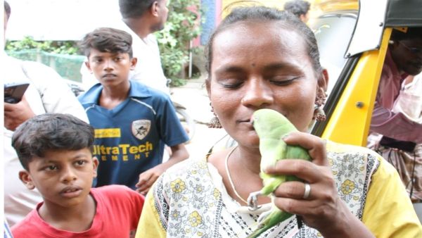 கிளிகளை வீட்டில் வளர்க்காதீர்கள்.. உடனே ஒப்படையுங்கள்.. மதுரையில் வனத்துறையினர் உத்தரவு