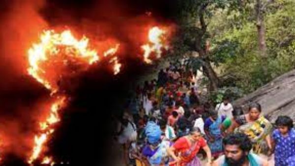 சதுரகிரியில் பற்றிய காட்டுத்தீ.. விடிய விடிய அச்சத்துடன் விழித்திருந்த பக்தர்கள்.. மீட்ட வனத்துறை