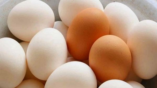 பச்சை முட்டை சாப்பிடறீங்களா.. தினமும் எத்தனை முட்டை சாப்பிடலாம்.. ஒரே கோழி முட்டையில் இத்தனை விஷயமா?