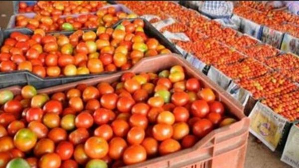 உச்சம் தொடும் தக்காளி விலை.. கோயம்பேடு சந்தையில் ஒரு கிலோ ரூ.160க்கு விற்பனை! அதிர்ச்சியில் மக்கள்