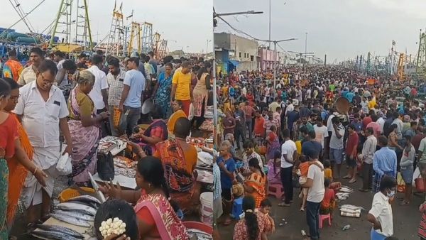 மீன்கள் விலை கம்மி.. காசிமேட்டில் களைகட்டிய கூட்டம்.. போட்டி போட்டு அள்ளிச் சென்ற மீன் பிரியர்கள்!