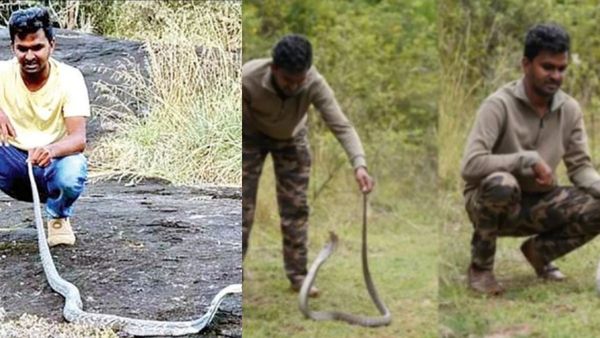 ஸ்ஸ்ஸ்..ஜென்மம் ஜென்மமாய் பின்னாலயே வந்து, பாம்பு பழிவாங்குதா? அதென்ன தலையில மாணிக்க கல்? இதை படிங்க