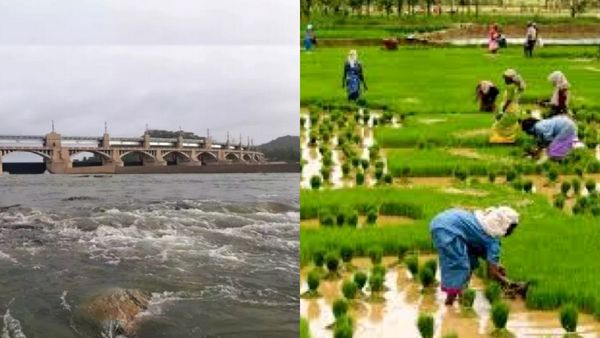 சூப்பர்! காவிரி ஆற்றில் 5,000 கனஅடி நீர் திறப்பு! இந்தாண்டில் முதல்முறை! டெல்டா விவசாயிகள் மகிழ்ச்சி