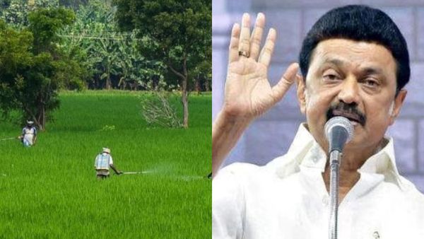 குறுவை சாகுபடி சிறப்பு தொகுப்பு.. டெல்டா விவசாயிகளுக்கு குட் நியூஸ் சொன்ன முதல்வர் ஸ்டாலின்