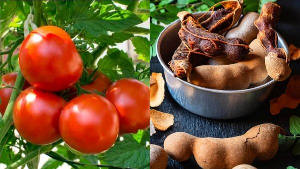 புளியை கரைக்குதா தக்காளி விலை.. அதே புளியை தக்காளிக்கு பதிலா யூஸ் பண்ணலாம்! வேற என்ன ஆப்ஷன் இருக்கு