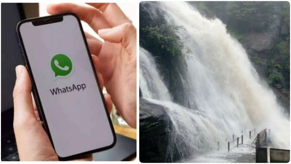 குற்றாலம் போறீங்களா.. முதலில் இதை செய்யுங்க! ஒரு மெசேஜ் போதும் - அருவி நிலவரம் அப்டேட்டாக வந்துரும்