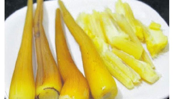 பனங்கிழங்கு.. பசித்தவனுக்கு உடனே தேவை பனங்கிழங்கு.. சர்க்கரை நோயாளிகள் பனங்கிழங்கை சாப்பிடலாமா?