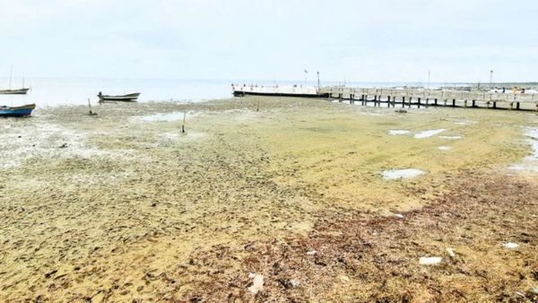 தேவிபட்டினம் கோவிலில் வினோதம்.. திடீரென கடலில் வெளியில் வந்த அதிசயம்.. பக்தர்கள் பரவசம்