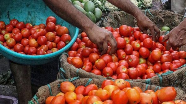மீண்டும் உச்சம் தொடும் தக்காளி? சென்னையில் திடீரென இன்று விலை கிடுகிடு உயர்வு! பின்னணி என்ன?
