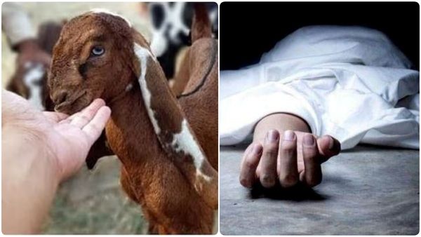 அசைவ விரும்பிகளே உஷார்! இப்படியுமா மரணம் வரும்? பலி ஆடால் பலியான நபர்! எமனாக மாறிய ஆட்டு கண்! ஷாக்