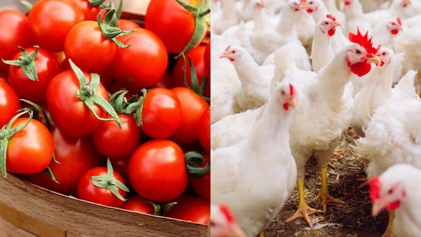 தக்காளி ரேட்டை விட சிக்கன் விலை குறைந்த பரிதாபம்.. தலையில் அடித்துக்கொண்ட ஹைதராபாத் மக்கள்