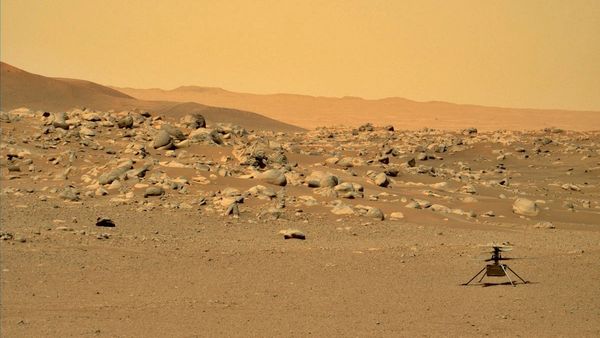 மரணத்தில் இருந்து கம்பேக்! 