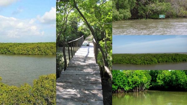 சொர்க்கம்யா.. “பியர் கிரில்ஸே” வருவாரே! நம்ம டெல்டாவில் இந்தியாவிலேயே பெரிய லகூன் தீவு - கிளம்பலாமா?