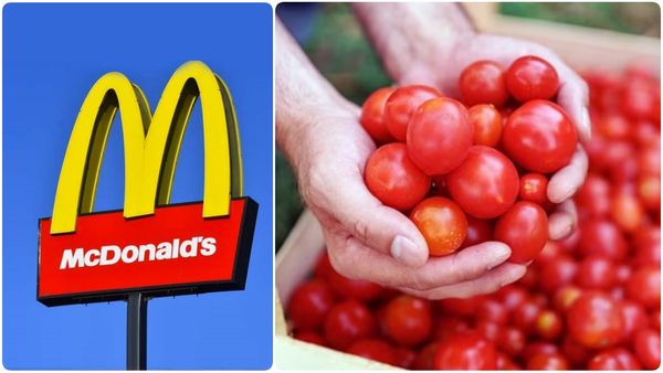 மெக்டனால்ஸ் நிறுவனத்தையே அசைத்து பார்த்த தக்காளி.. விலையேற்றத்தால் எடுத்த முடிவை பாருங்க