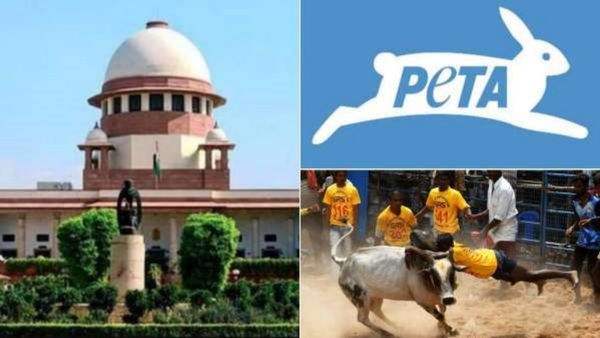 ஜல்லிக்கட்டு சட்டத்தை உறுதி செய்த தீர்ப்பு- உச்சநீதிமன்றத்தில் பீட்டா திடீர் சீராய்வு மனு தாக்கல்!