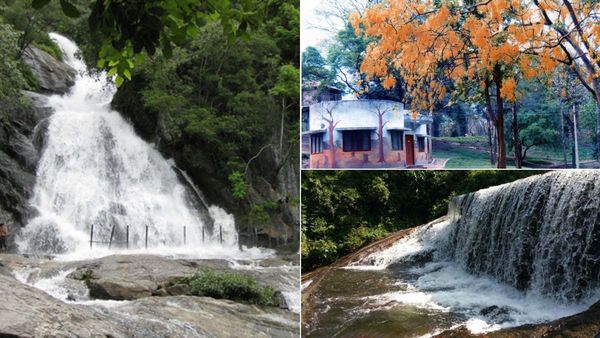  குற்றாலம் போக முடியலயா.. கோவை பக்கத்துல ஒரு குற்றால அருவி இருக்கே! குறைந்த செலவில் நிறையும் மனசு 