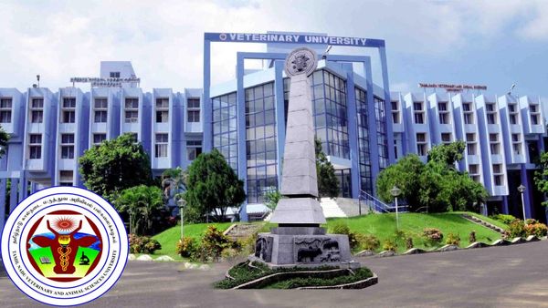 வாவ்.. 31 பேர் 200க்கு 200! கால்நடை மருத்துவப் படிப்பு ரேங்க் லிஸ்டில் அசத்தல் -கவுன்சிலிங் எப்போது?