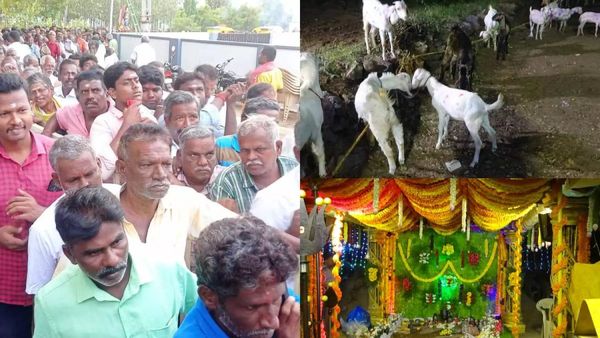 300 ஆடு.. விடிய விடிய ஆட்டுக்கறி விருந்து.. முதல்முதலாக 