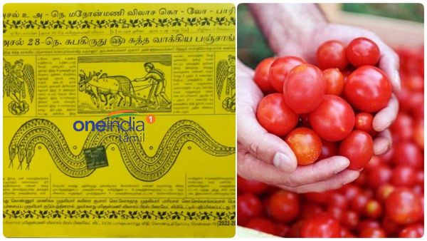 உயரே பறக்கும் தக்காளி.. காய்கறிகள் விலை இன்னும் உச்சத்தை தொடும்.. வெள்ளம்.. எச்சரிக்கும் பஞ்சாங்கம்