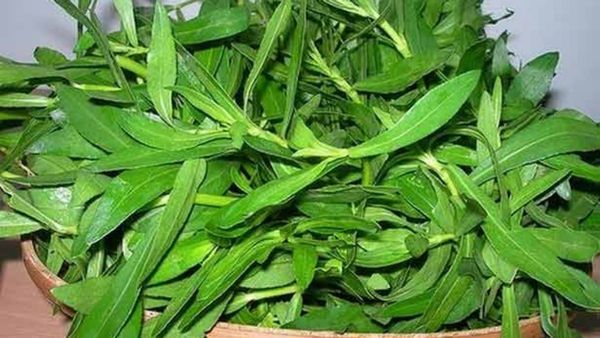 பொன்+ஆம்+காண்+நீ= பொன்னாங்கண்ணி! சித்தர்கள் பயன்படுத்திய பொக்கிஷம்! 2இல் 