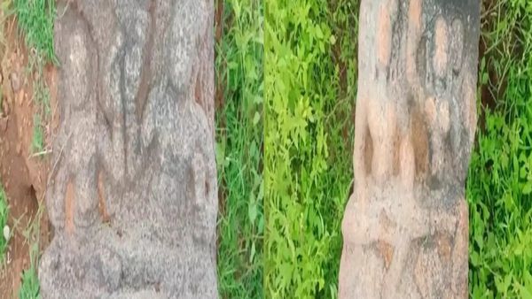 மதுரையில் ஒரே அதிசயம்.. புதருக்குள் 