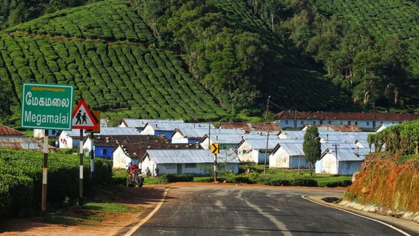 தேனியில் ஒரு “ட்ரீம் லேண்ட்”.. உடனே பார்க்கனுமா.. அப்போ மேகமலை போலாமே! என்ன ஸ்பெஷல்? எப்படி செல்வது?