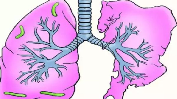 நுரையீரல்.. அதென்ன பக்கத்துலயே..நுரையீரலின் 